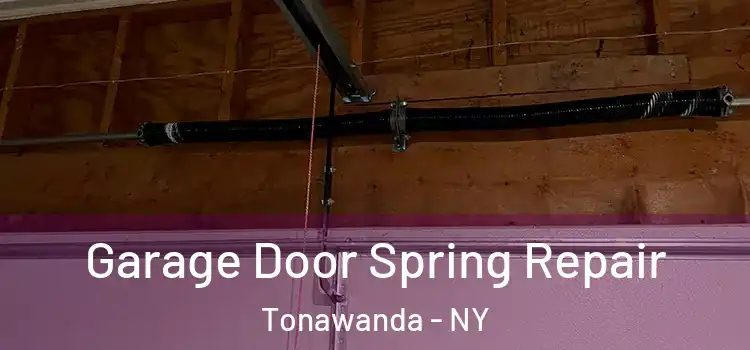  Garage Door Spring Repair Tonawanda - NY